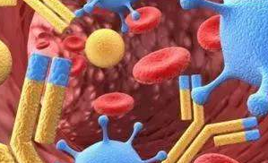 抗主要過敏原抗體、抗人免疫球蛋白抗體、流式抗體、抗過敏主要相關致病分子抗體